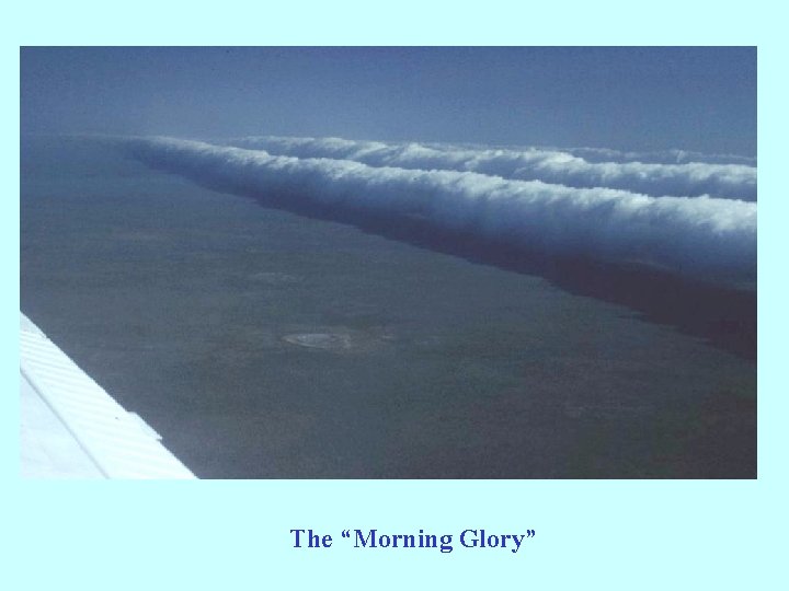 The “Morning Glory” 