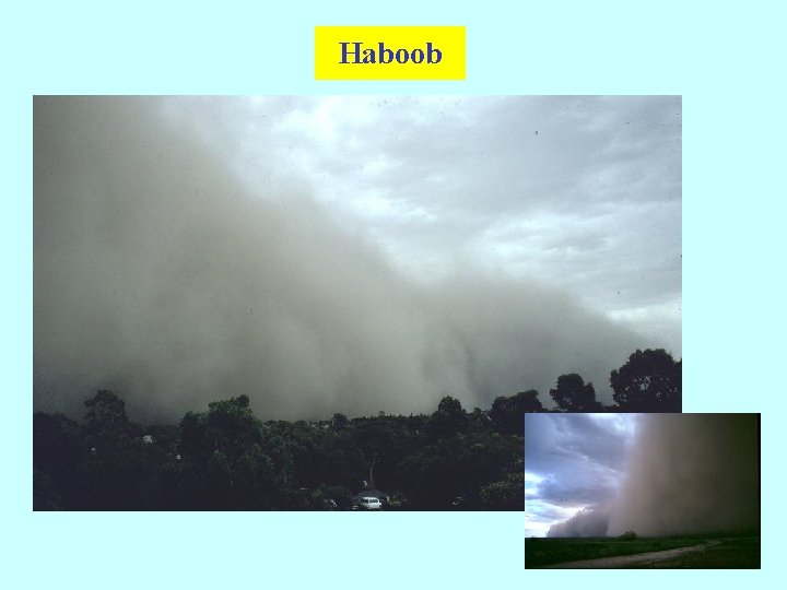 Haboob 