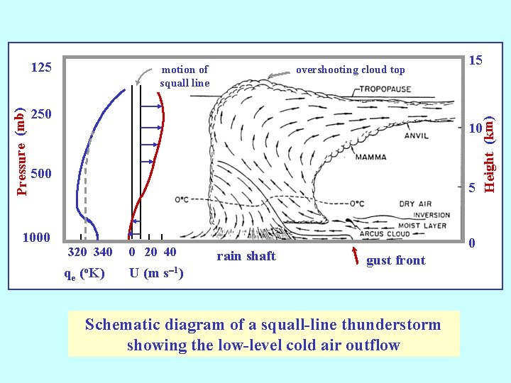 motion of squall line overshooting cloud top 250 10 500 1000 15 Height (km)