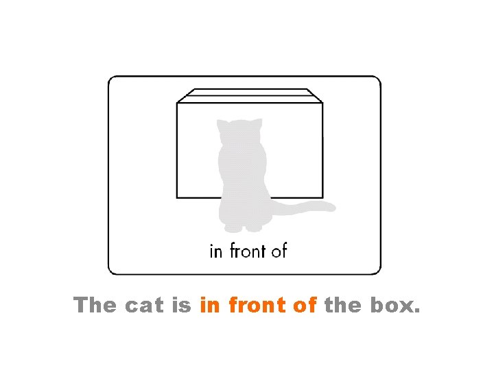 The cat is in front of the box. 