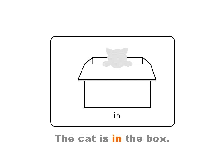 The cat is in the box. 