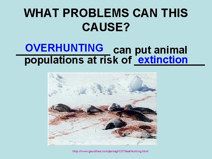 WHAT PROBLEMS CAN THIS CAUSE? OVERHUNTING can put animal ________ extinction populations at risk