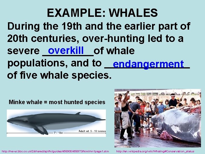 EXAMPLE: WHALES During the 19 th and the earlier part of 20 th centuries,
