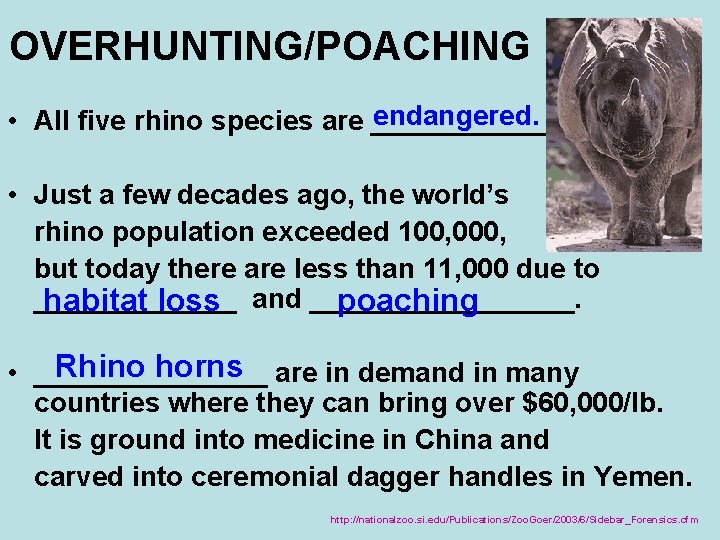 OVERHUNTING/POACHING endangered. • All five rhino species are ______ • Just a few decades