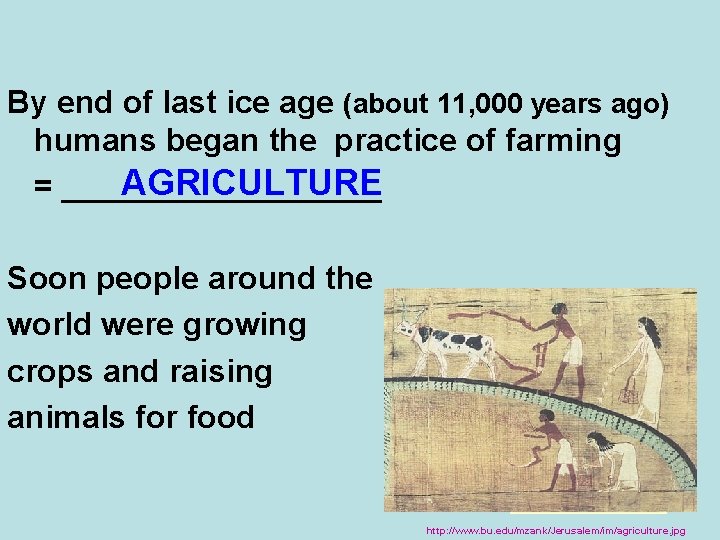 By end of last ice age (about 11, 000 years ago) humans began the