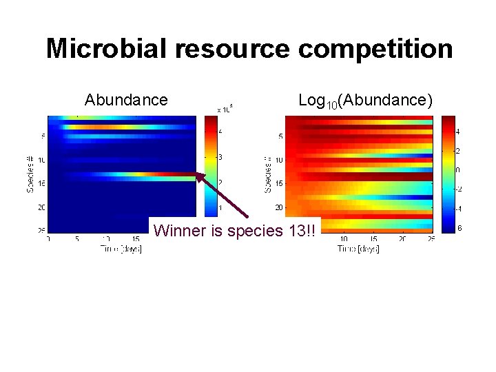 Microbial resource competition Abundance Log 10(Abundance) Winner is species 13!! 