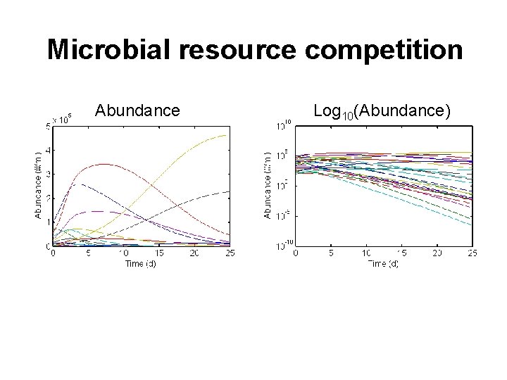 Microbial resource competition Abundance Log 10(Abundance) 