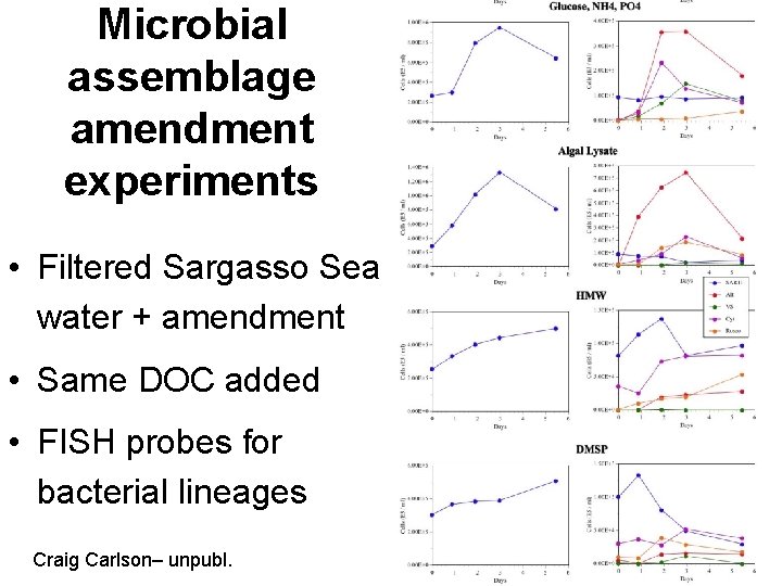 Microbial assemblage amendment experiments • Filtered Sargasso Sea water + amendment • Same DOC