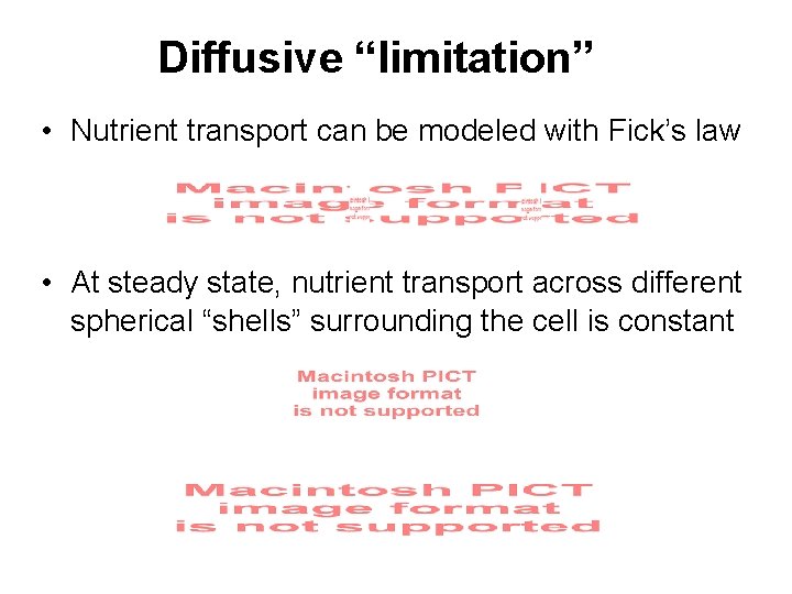 Diffusive “limitation” • Nutrient transport can be modeled with Fick’s law • At steady