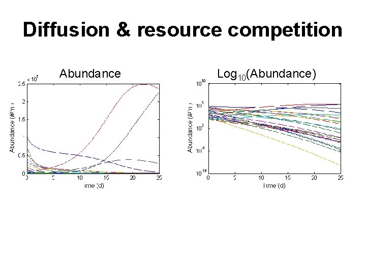 Diffusion & resource competition Abundance Log 10(Abundance) 