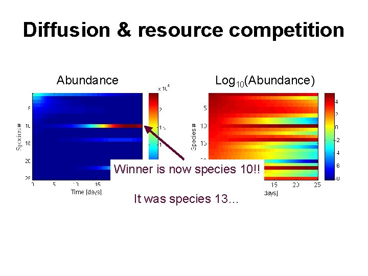 Diffusion & resource competition Abundance Log 10(Abundance) Winner is now species 10!! It was