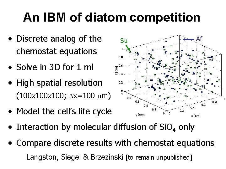 An IBM of diatom competition • Discrete analog of the chemostat equations Su Af