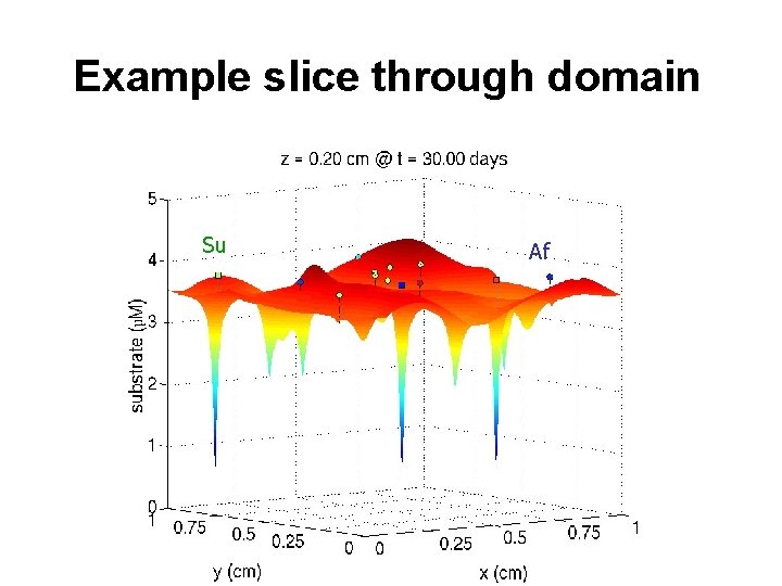 Example slice through domain Su Af 