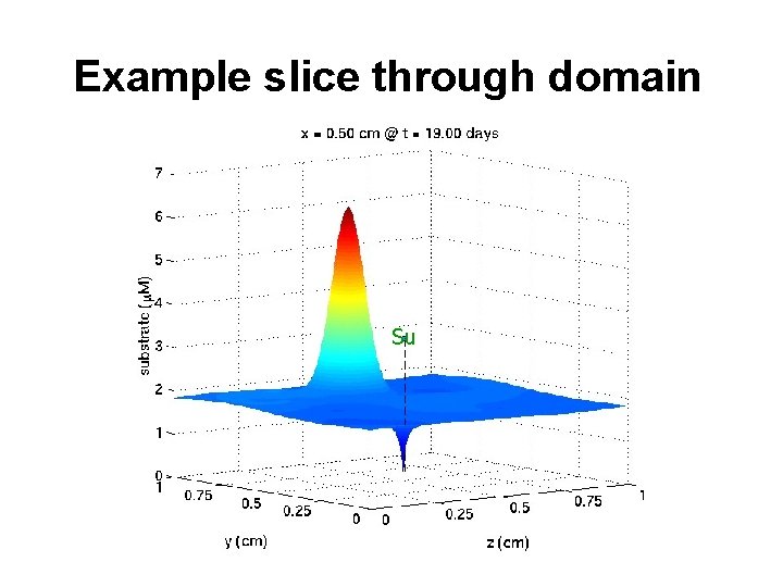 Example slice through domain Su 
