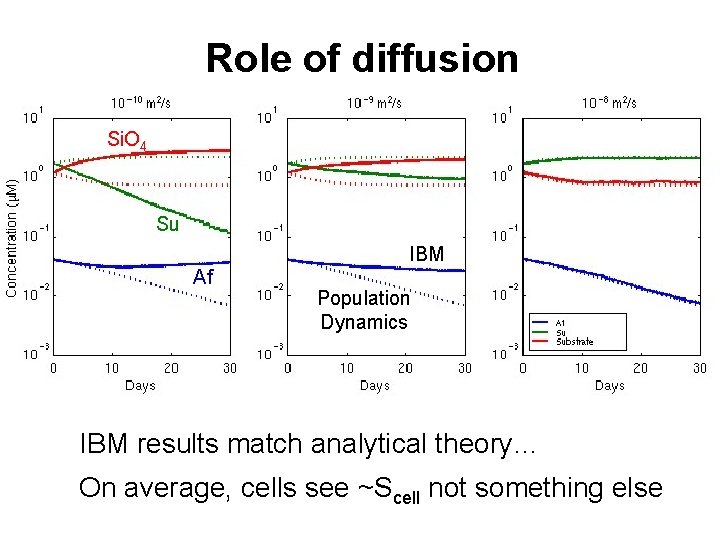 Role of diffusion Si. O 4 Su IBM Af Population Dynamics IBM results match