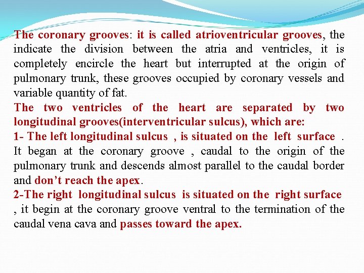 The coronary grooves: it is called atrioventricular grooves, the indicate the division between the