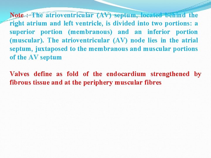 Note : The atrioventricular (AV) septum, located behind the right atrium and left ventricle,