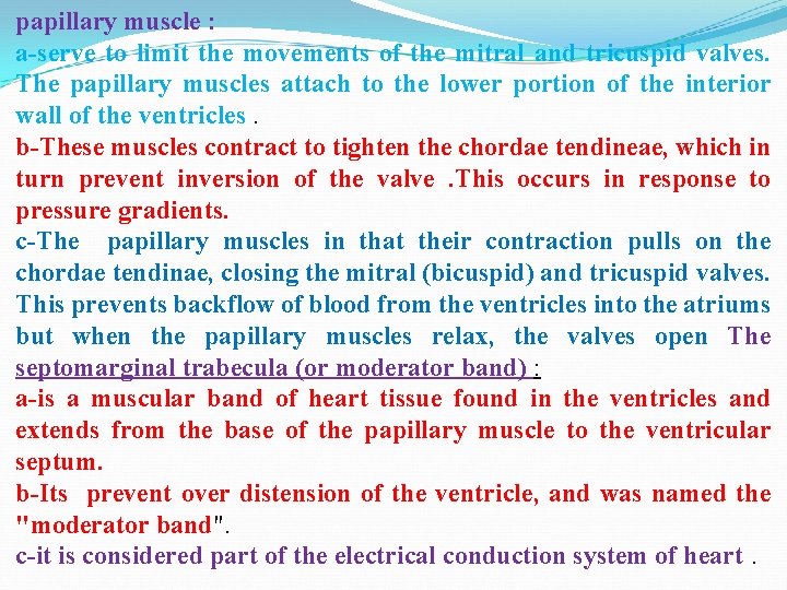 papillary muscle : a-serve to limit the movements of the mitral and tricuspid valves.