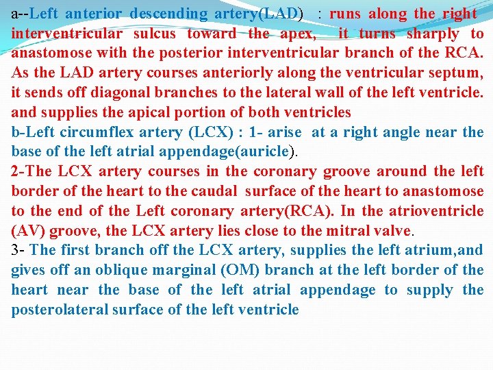 a--Left anterior descending artery(LAD) : runs along the right interventricular sulcus toward the apex,