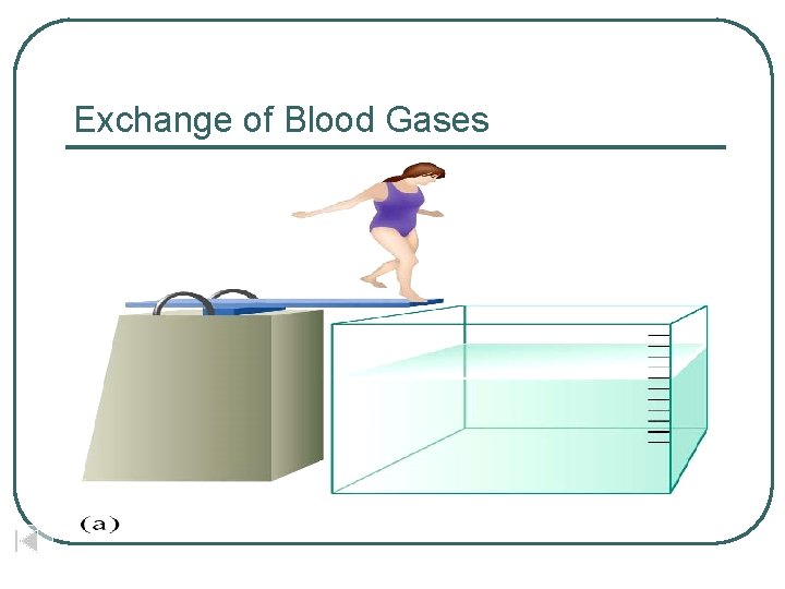 Exchange of Blood Gases 