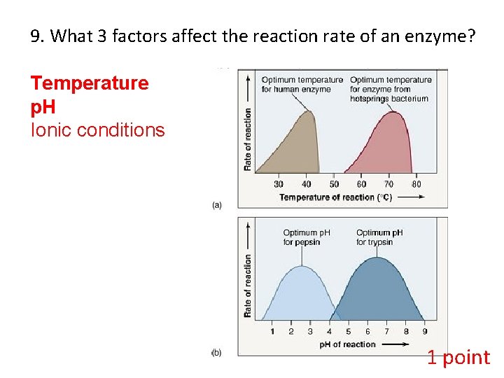 9. What 3 factors affect the reaction rate of an enzyme? Temperature p. H