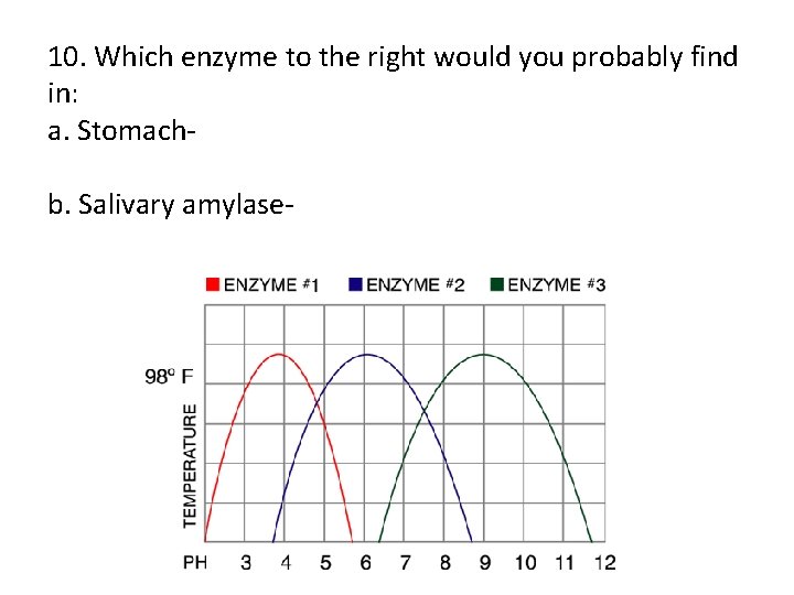 10. Which enzyme to the right would you probably find in: a. Stomach b.