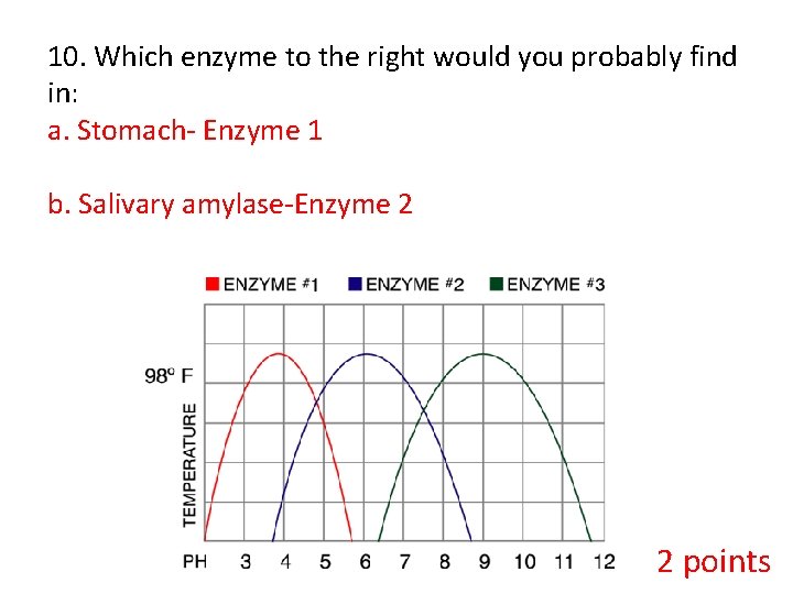 10. Which enzyme to the right would you probably find in: a. Stomach- Enzyme