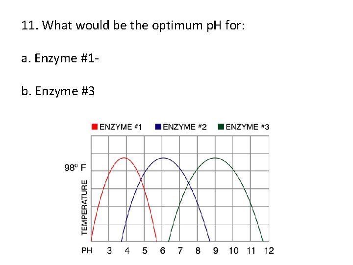 11. What would be the optimum p. H for: a. Enzyme #1 b. Enzyme