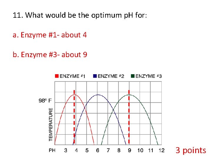 11. What would be the optimum p. H for: a. Enzyme #1 - about
