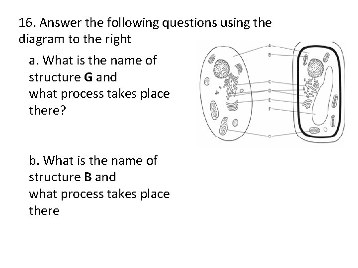 16. Answer the following questions using the diagram to the right a. What is