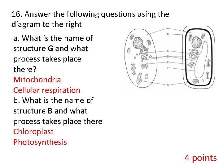 16. Answer the following questions using the diagram to the right a. What is