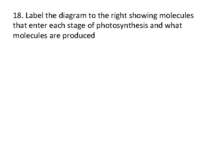 18. Label the diagram to the right showing molecules that enter each stage of