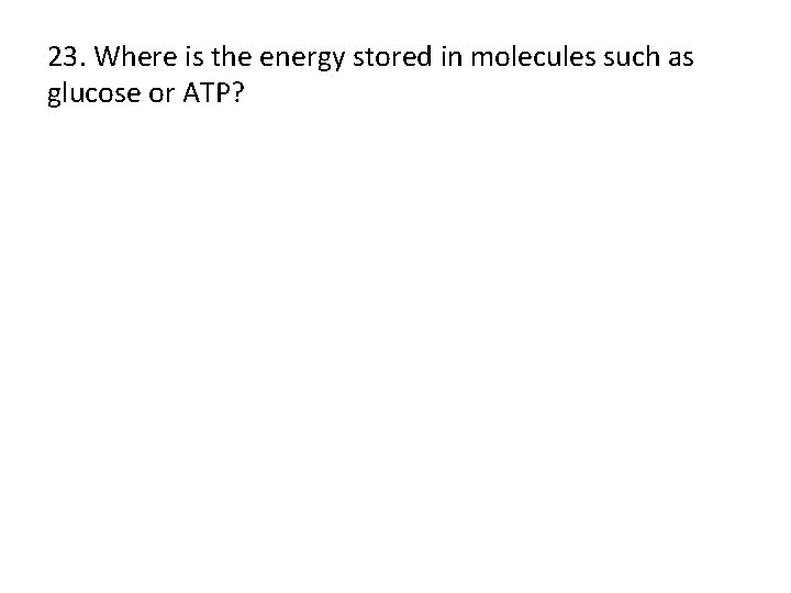 23. Where is the energy stored in molecules such as glucose or ATP? 