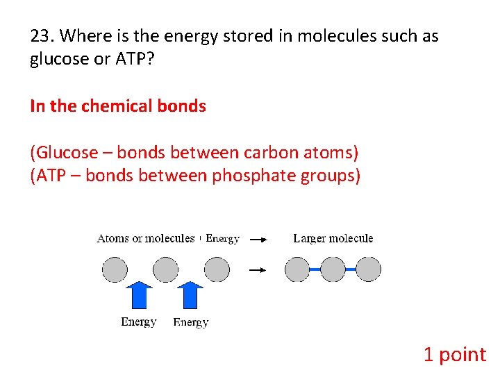 23. Where is the energy stored in molecules such as glucose or ATP? In