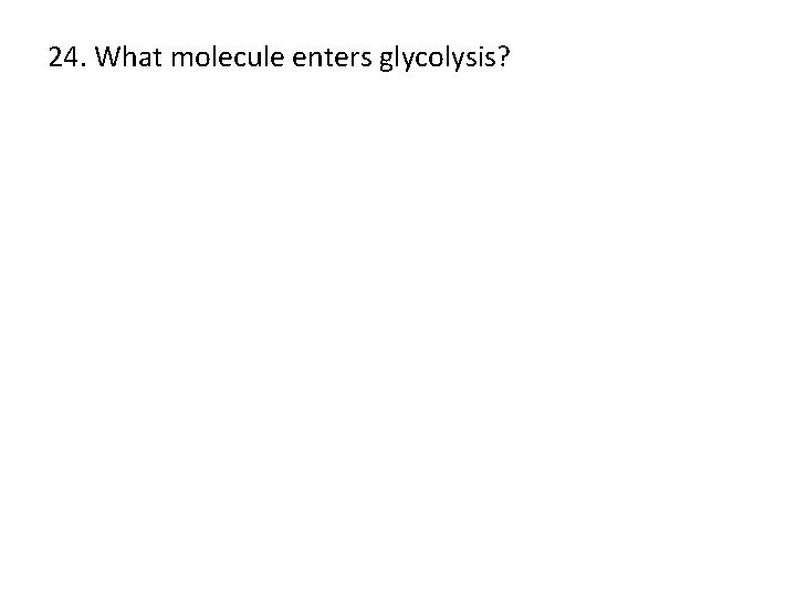 24. What molecule enters glycolysis? 