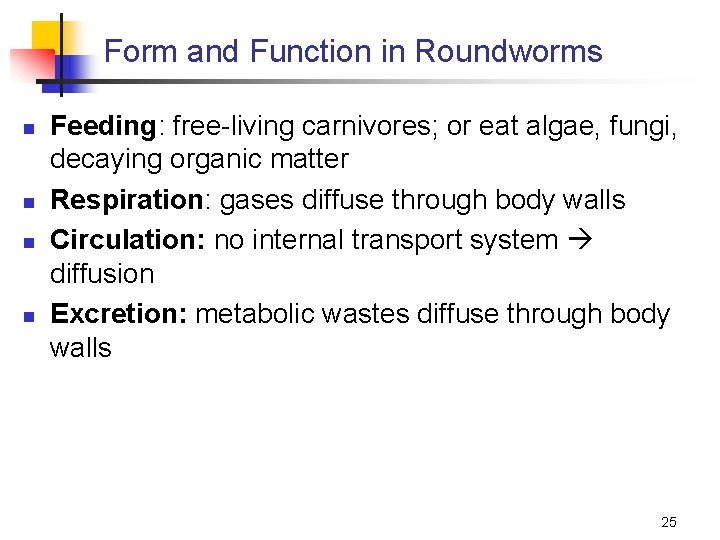 Form and Function in Roundworms n n Feeding: free-living carnivores; or eat algae, fungi,