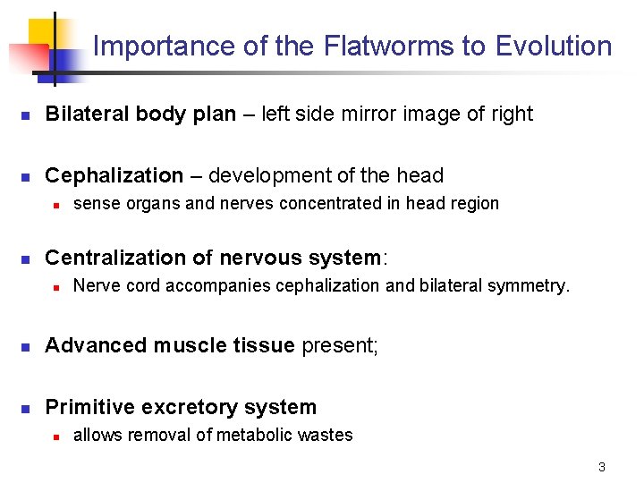 Importance of the Flatworms to Evolution n Bilateral body plan – left side mirror