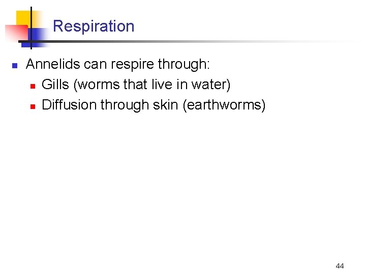 Respiration n Annelids can respire through: n Gills (worms that live in water) n