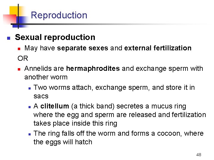 Reproduction n Sexual reproduction May have separate sexes and external fertilization OR n Annelids