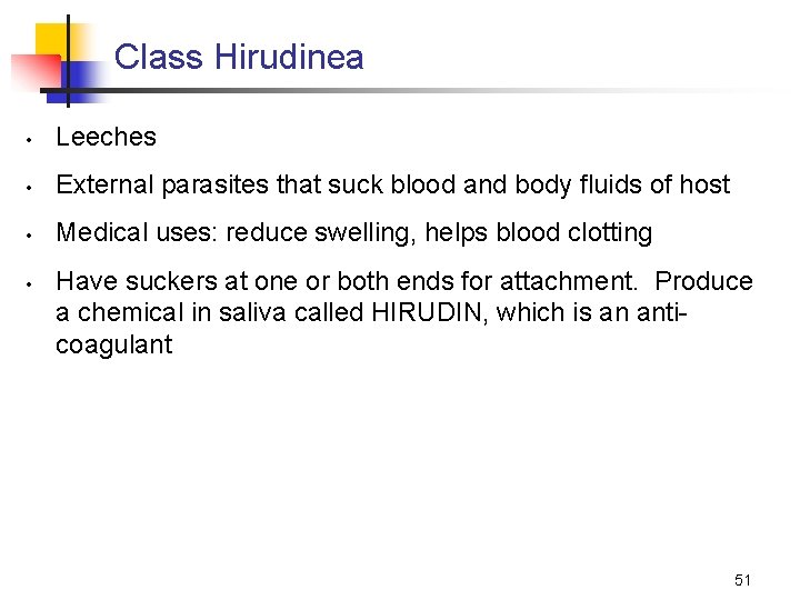 Class Hirudinea • Leeches • External parasites that suck blood and body fluids of