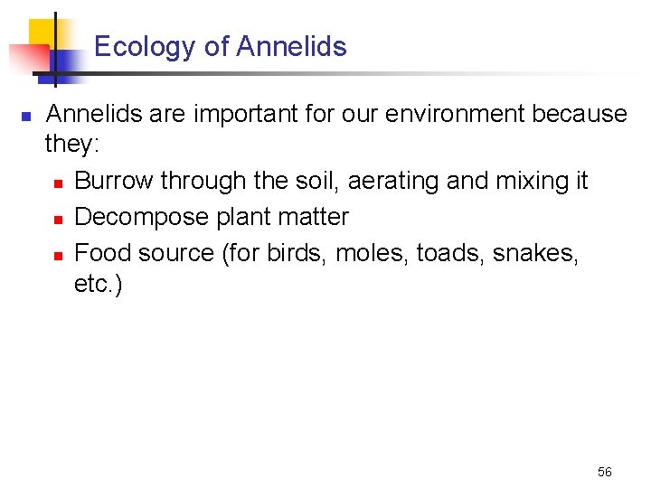 Ecology of Annelids n Annelids are important for our environment because they: n Burrow