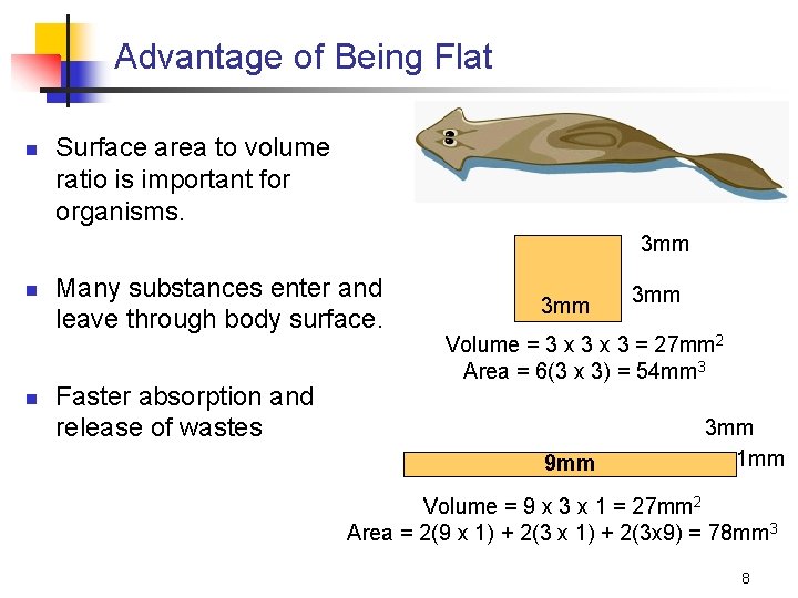 Advantage of Being Flat n Surface area to volume ratio is important for organisms.