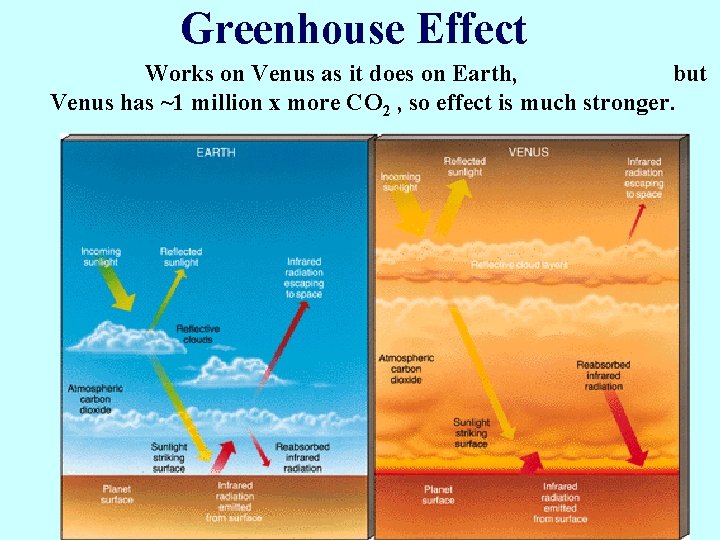 Greenhouse Effect Works on Venus as it does on Earth, but Venus has ~1