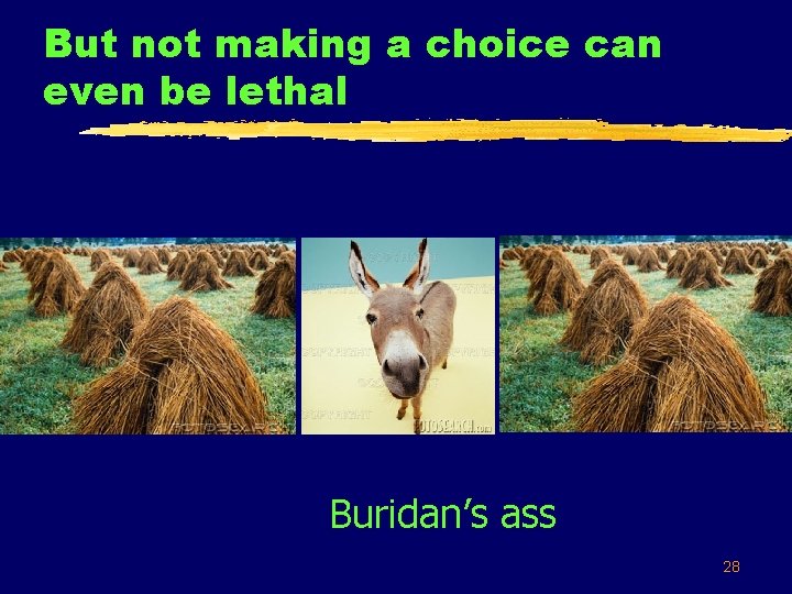 But not making a choice can even be lethal Buridan’s ass 28 