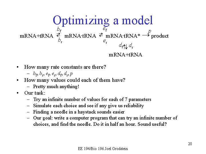Optimizing a model e bf f p m. RNA+t. RNA ⇄ m. RNA∙t. RNA