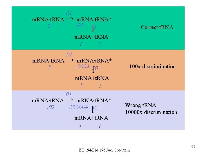 . 01 m. RNA∙t. RNA → m. RNA∙t. RNA* . 04 2. 5 ↓