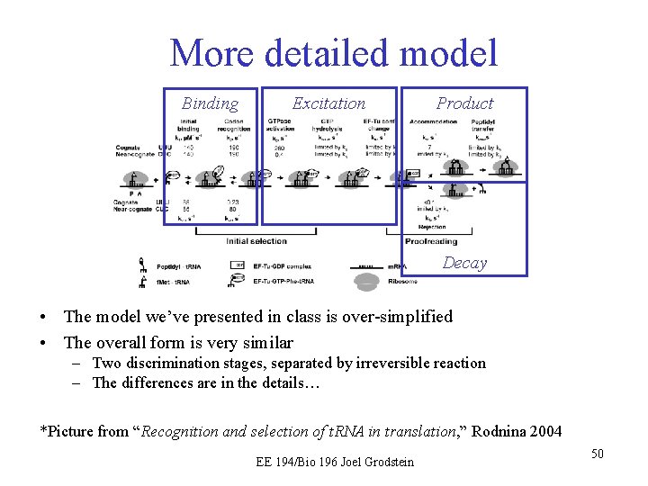 More detailed model Binding Excitation Product Decay • The model we’ve presented in class