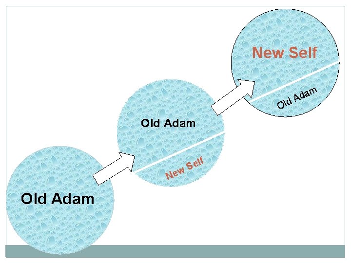 New Self Old Adam lf e w. S Ne Old Adam am d A