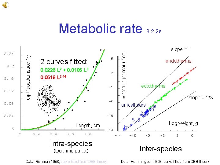 Metabolic rate 8. 2. 2 e slope = 1 0. 0226 L 2 +
