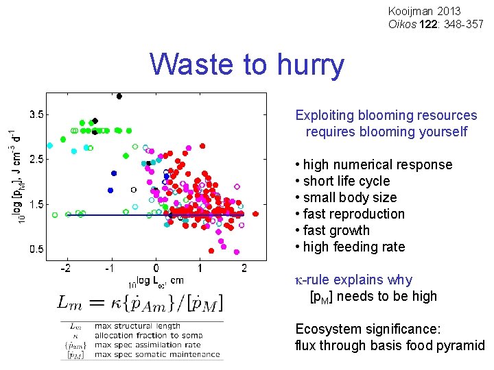 Kooijman 2013 Oikos 122: 348 -357 Waste to hurry Exploiting blooming resources requires blooming